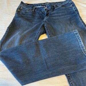 Ann Taylor Women's Blue Boot Cut Jeans